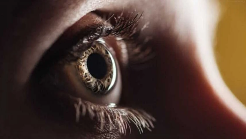 Светочувствительные клетки в глазах умерших доноров: новые возможности для науки